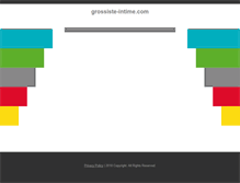 Tablet Screenshot of grossiste-intime.com